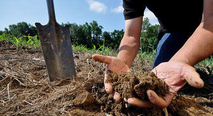 Person holding soil in his hands in farm field