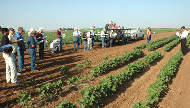 group standing in field