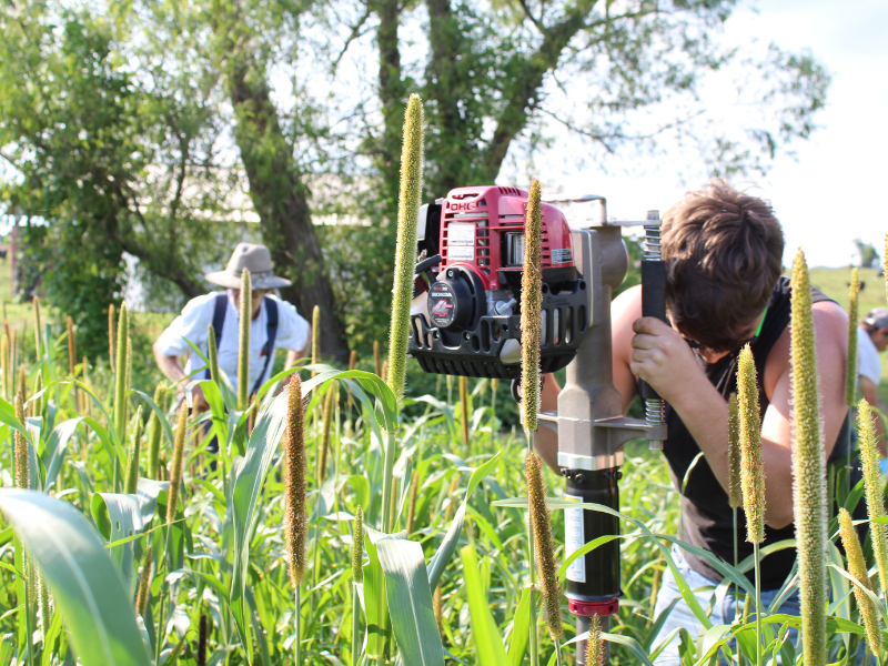 Newswise: One (soil) test to rule them all
