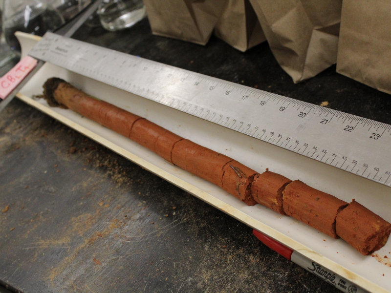 Newswise: One (soil) test to rule them all