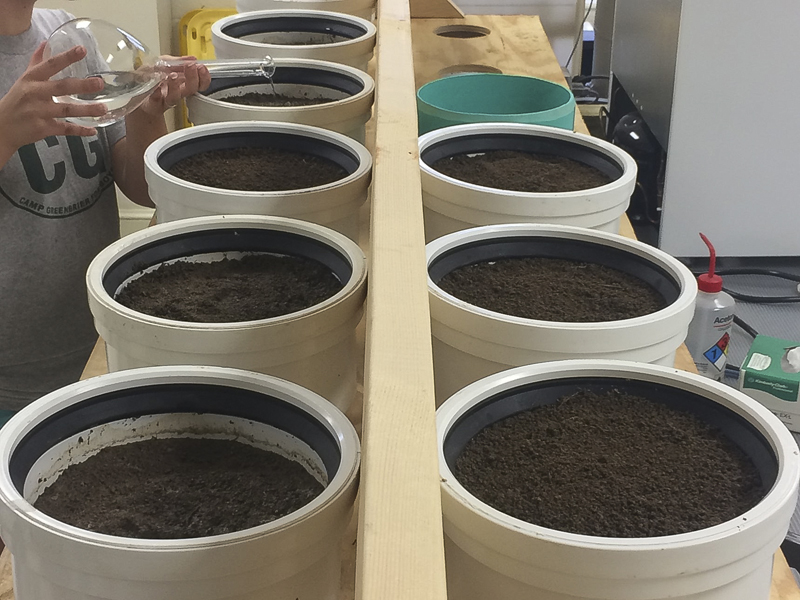 Do Soils Need A Low salt Diet Soil Science Society Of America