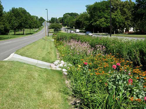 Rain Gardens and Bioswales | Soil Science Society of America