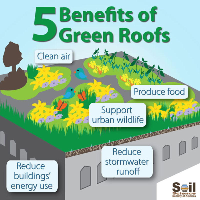 inforgraphic showing the 5 benefits of green roofs: clean air, produce food, reduce stormwater, reduce building's energy use, support urban wildlife