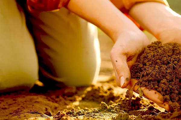 a cropped view of someone kneeling in soil with their hands full of soil