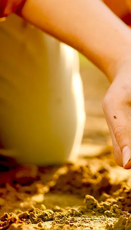 hands turn up freshly turned soil
