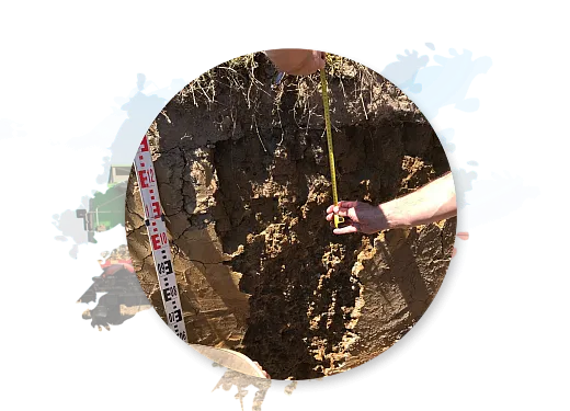soil horizons in profile